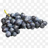 紫葡萄-空若网 紫葡萄-空若网