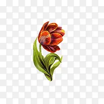 油画百合-空若网 油画百合-空若网