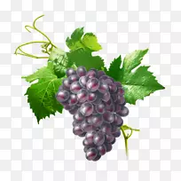 黑醋栗葡萄食品-葡萄-空若网 黑醋栗葡萄食品-葡萄-空若网