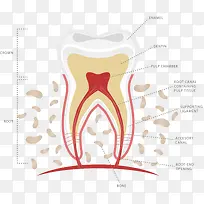 ������Ϣ��-������