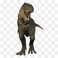 咆哮尖嘴霸王龙-空若网 咆哮尖嘴霸王龙-空若网