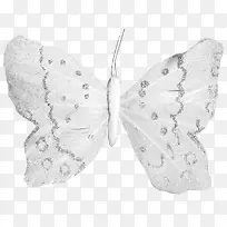 银色蝴蝶-空若网 银色蝴蝶-空若网