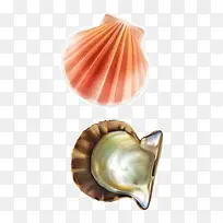 ʸ���ȱ��ز�-������