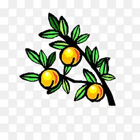 成熟的金桔-空若网 成熟的金桔-空若网