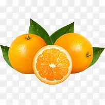 水果橙子纽荷尔-空若网 水果橙子纽荷尔-空若网