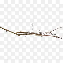 ��ɫ��֦-������