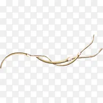 棕色漂亮枯枝-空若网 棕色漂亮枯枝-空若网
