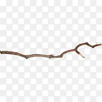 ��ɫ��֦-������