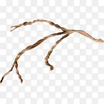 棕色枯枝-空若网 棕色枯枝-空若网