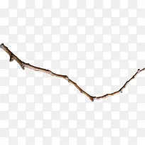 棕色漂亮枯枝-空若网 棕色漂亮枯枝-空若网