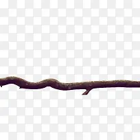 弯曲的树枝-空若网 弯曲的树枝-空若网