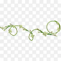 绿色花枝-空若网 绿色花枝-空若网