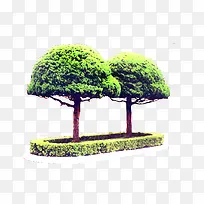 ԰��������-������