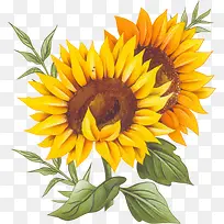 ˮ�����տ���-������