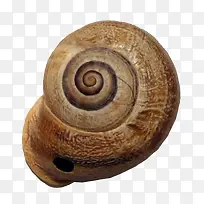 蜗牛-空若网 蜗牛-空若网