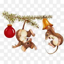 动物-空若网 动物-空若网