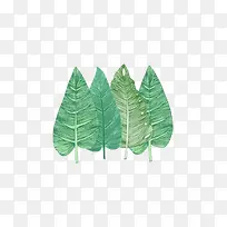 ����ɫ�廭Ҷ��-������