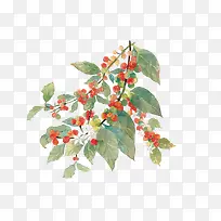 ʸ���컨��Ҷ-������