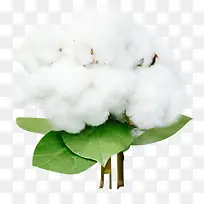 �޻�  ��ɫ  ������-������