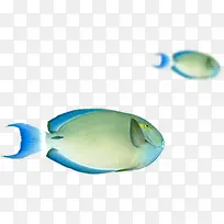 ��Ӱ������Ӿ��С����-������