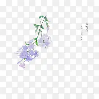 手绘花卉-空若网 手绘花卉-空若网