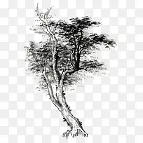 树-空若网 树-空若网