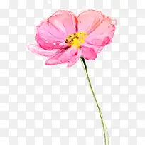 Ϳѻ��ƻ�֦��ƺ�ɫ-������