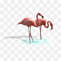 手绘动物素材卡通动物素材 鸵鸟-空若网 手绘动物素材卡通动物素材 鸵鸟-空若网