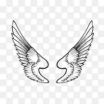 天使的翅膀-空若网 天使的翅膀-空若网