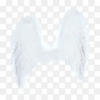 白色天使翅膀-空若网 白色天使翅膀-空若网