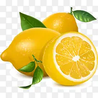 矢量水果柠檬-空若网 矢量水果柠檬-空若网