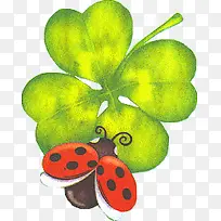 ��ͨ��Ҷ��-������