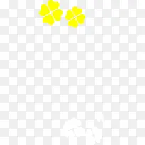 黄色可爱四叶草-空若网 黄色可爱四叶草-空若网