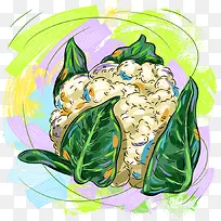 矢量花菜-空若网 矢量花菜-空若网