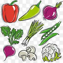 矢量蔬菜-空若网 矢量蔬菜-空若网