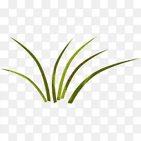 ��ɫС��-������