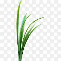 ÂÌɫƯÁÁС²Ý-¿ÕÈôÍø ÂÌɫƯÁÁС²Ý-¿ÕÈôÍø