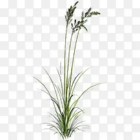 ƯÁÁС²ÝËØ²ÄÃâ¿Ù-¿ÕÈôÍø ƯÁÁС²ÝËØ²ÄÃâ¿Ù-¿ÕÈôÍø