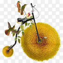 ���⻨�����г�-������