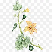 卡通手绘蔬菜装饰海报设计-空若网 卡通手绘蔬菜装饰海报设计-空若网