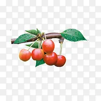 ��Ʒʵ�����ʻ�÷-������