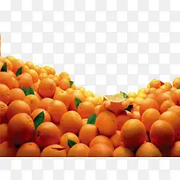 橘子-空若网 橘子-空若网