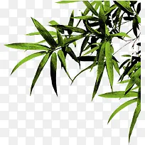 树木一角-空若网 树木一角-空若网