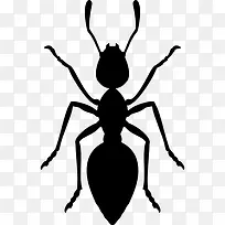 ����ͼ��-������