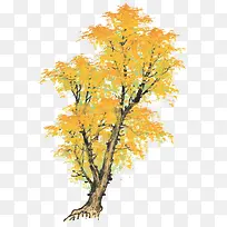 水墨秋天的树-空若网 水墨秋天的树-空若网