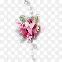 Ư����ͨ��Ҷ-������