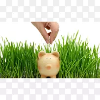 ��ƺ��ֲ����������-������