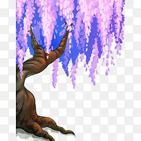 紫藤树-空若网 紫藤树-空若网