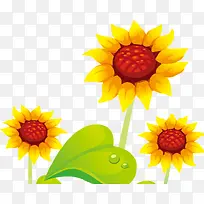 手绘摄影向日癸矢量图-空若网 手绘摄影向日癸矢量图-空若网