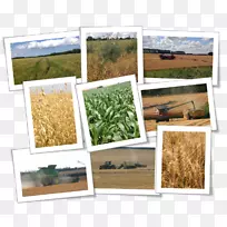 �����˹���-С�����-������